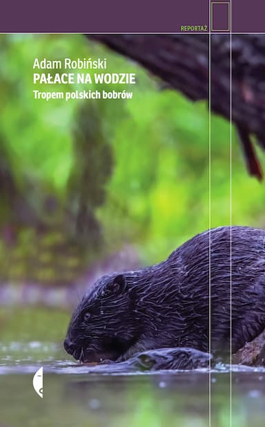 Pałace na wodzie - cover